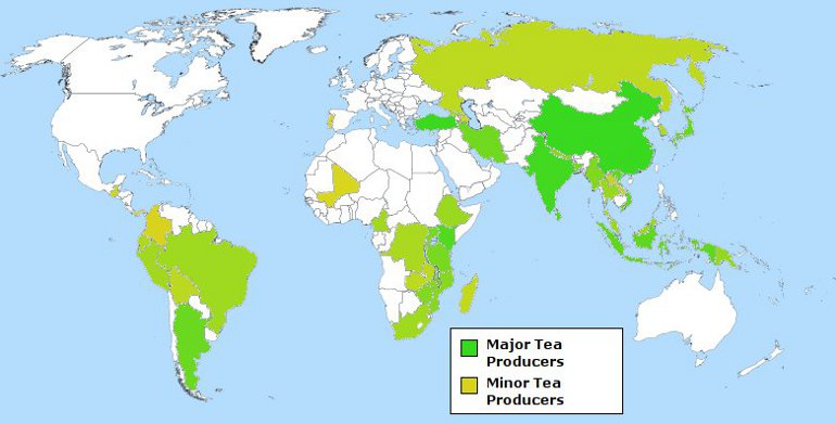 World Map Highlighting Major and Minor Tea Producing Countries