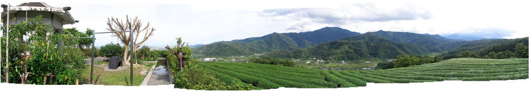 A panorama of a tea plantation in Yilan
