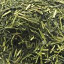 Picture of Kukicha Green Tea