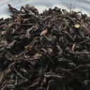 Picture of Wuyi Organic Oolong Tea