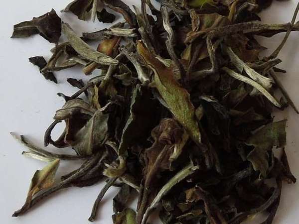 Loose-leaf tea with large olive green and brown leaves, and silver, downy tips