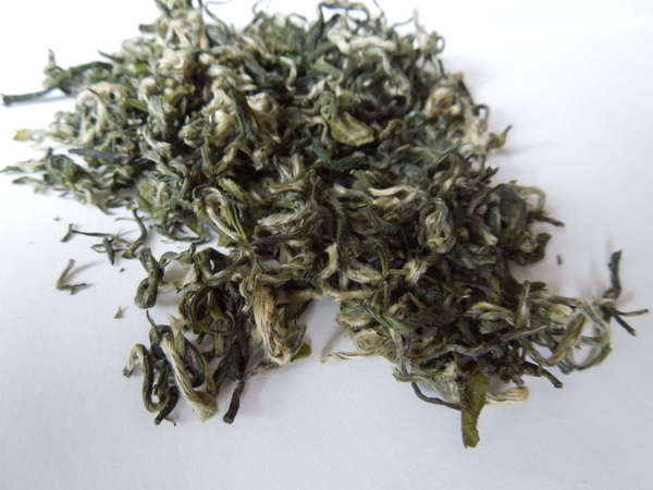 Loose-leaf green tea with silvery green leaves and very curly shape